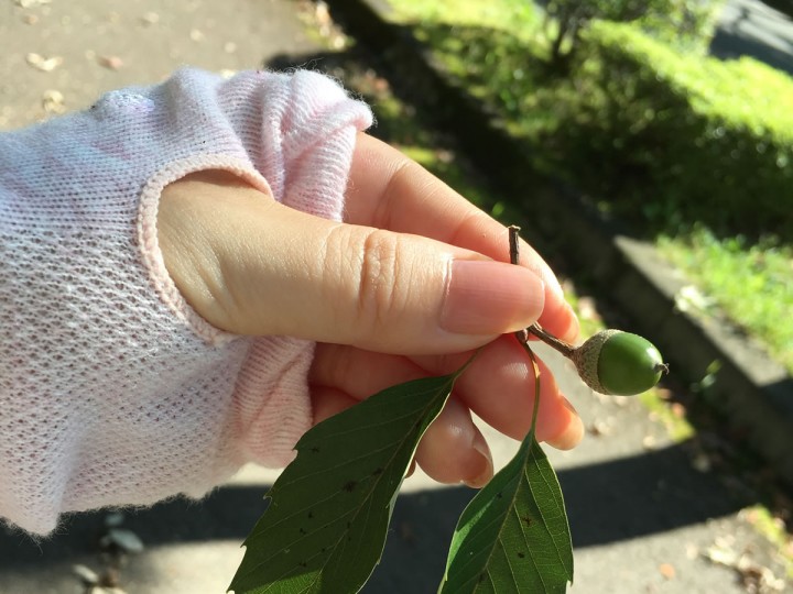 「週末(9/9、9/10)の傾向と幸せの鍵」に掲載している画像