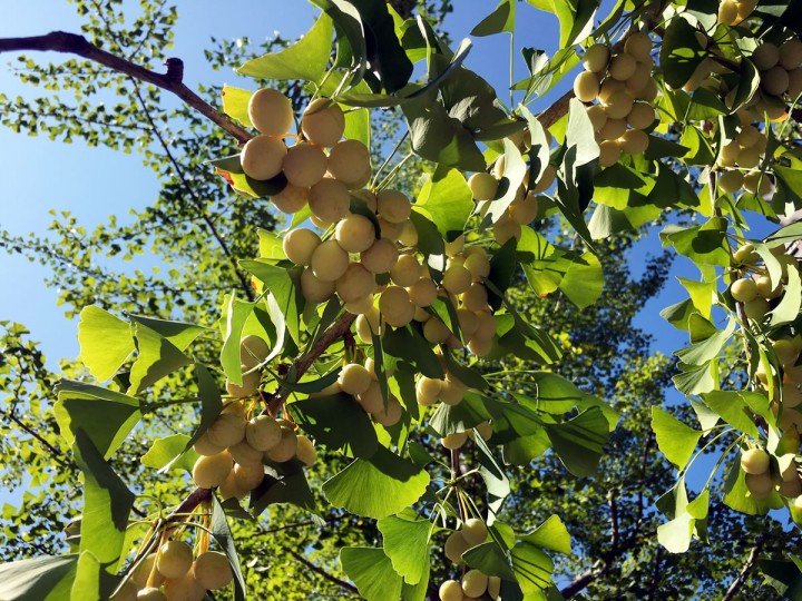 「週末(9/9、9/10)の傾向と幸せの鍵」に掲載している画像