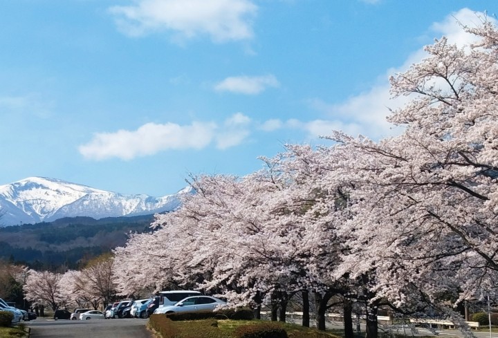 「一人だけどひとりじゃない」に掲載している画像