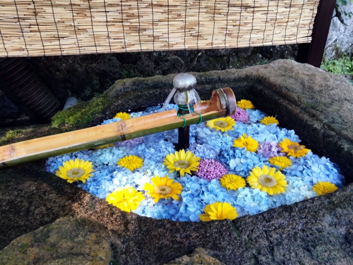 「共に創り上げるもの」に掲載している画像