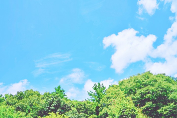 「折々にご縁のある方々と」に掲載している画像