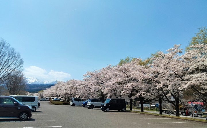 「あたたかなメッセージ」に掲載している画像