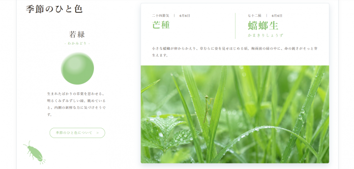 「「季節のひと色」がひとまず完成しました」に掲載している画像
