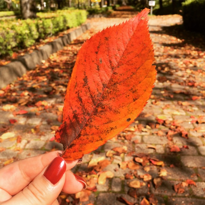 「ありのままの自分で」に掲載している画像