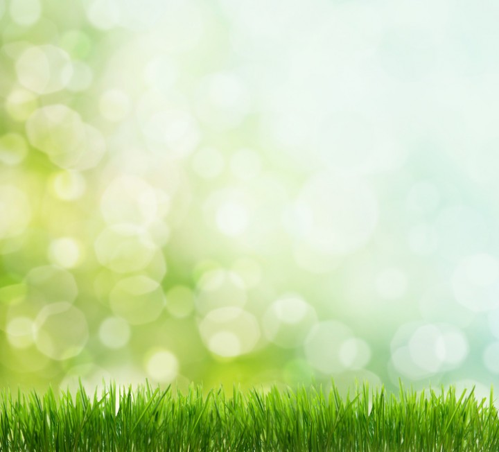 「夢彩図ゴールデンウィーク営業日のご案内」に掲載している画像