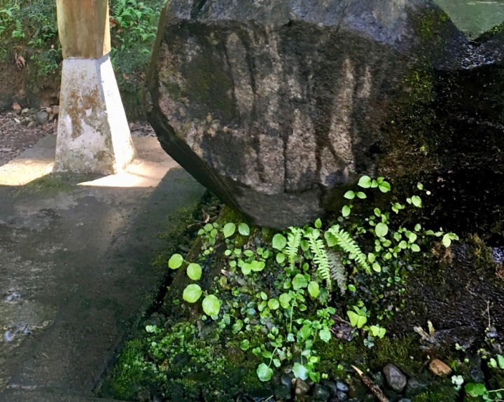 「未知との遭遇」に掲載している画像