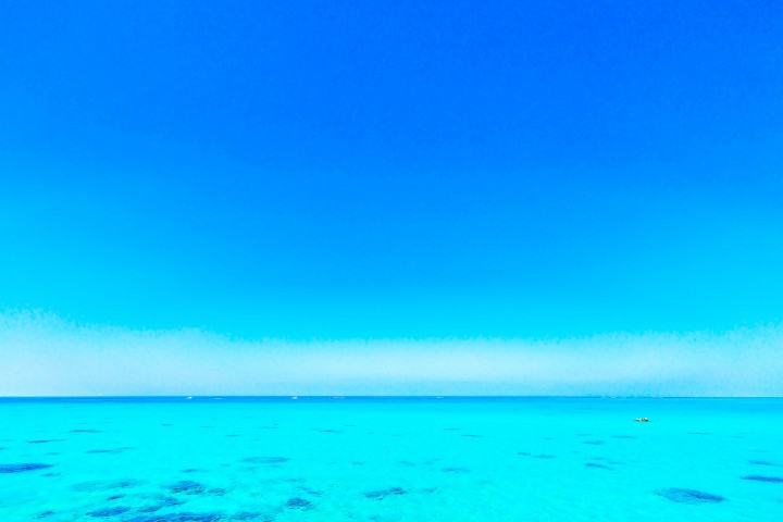 「アフターコロナの世界」に掲載している画像