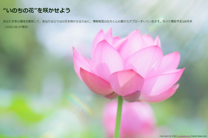 「“いのちの花”を咲かせよう」に掲載している画像