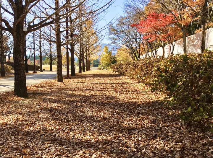 「他人軸と自分軸について」に掲載している画像