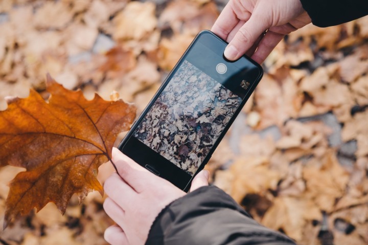 「iPhoneで撮影した縦写真が横に寝てしまう場合」に掲載している画像