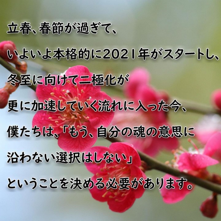 「意思に沿わない選択はしない」に掲載している画像