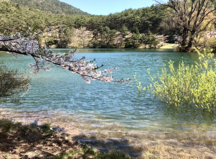 「お知らせ」に掲載している画像