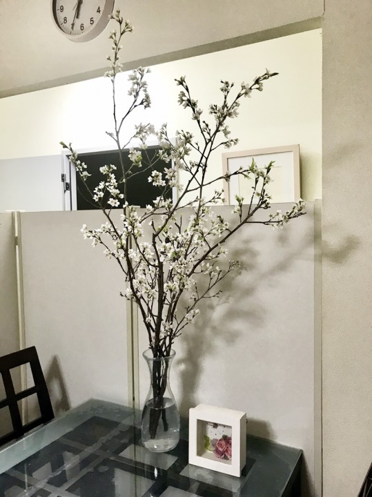 「蕗の薹と桜」に掲載している画像