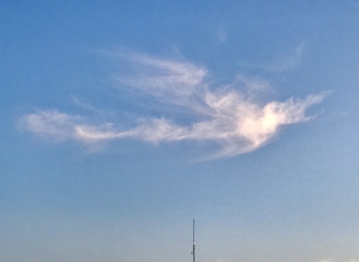 「雑用とは＆鳳凰雲」に掲載している画像