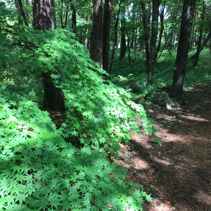 「季節の変わり目」に掲載している画像